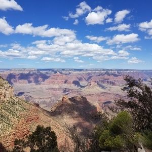 Meet your Posher, Carole